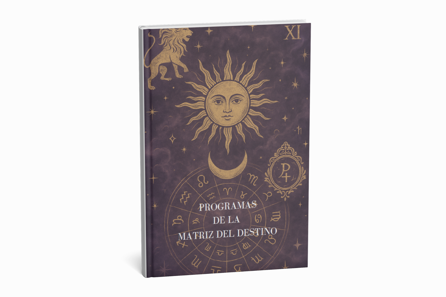 Ebook: Guía completa de programas especiales